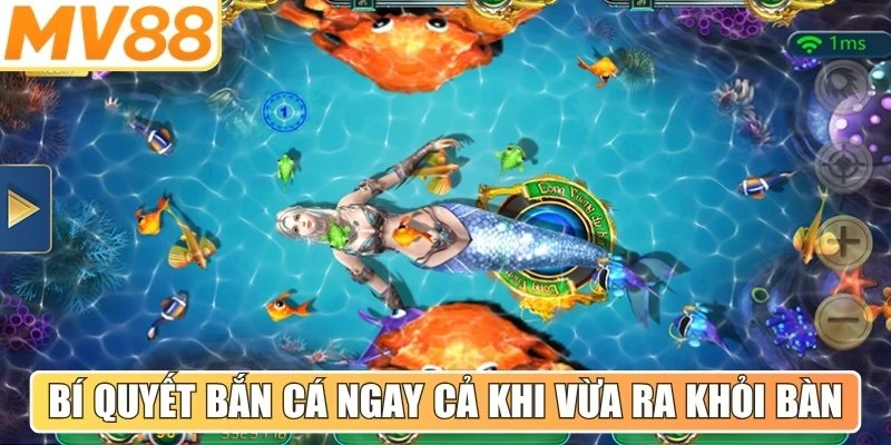 Mọi bí quyết bắn cá ngay cả khi vừa ra khỏi bàn tròn lớn