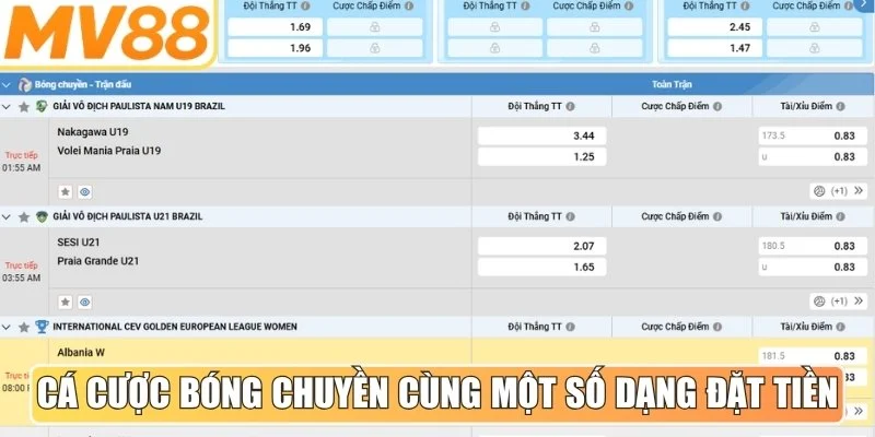 Cá cược bóng chuyền cùng một số dạng đặt tiền thông dụng nhất