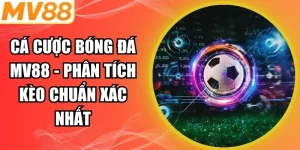 Cá cược bóng đá