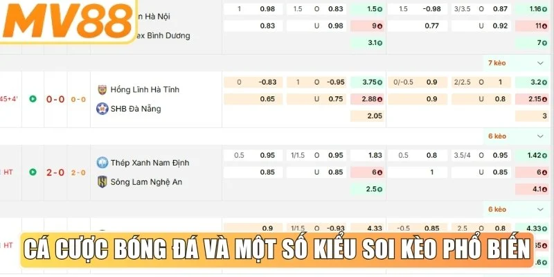 Cá cược bóng đá và một số kiểu soi kèo phổ biến hiện nay
