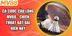 Cá cược cầu lông