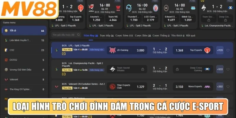 Một số loại hình trò chơi đình đám trong cá cược thể thao hiện nay