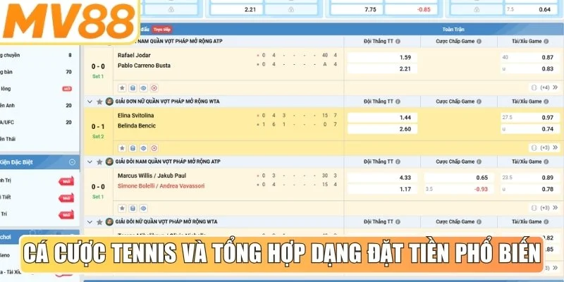 Cá cược tennis và tổng hợp dạng đặt tiền phổ biến nhất hiện nay