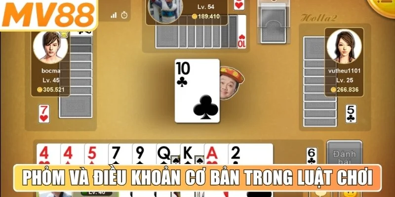 Phỏm và một số điều khoản cơ bản trong luật chơi dành cho tân thủ