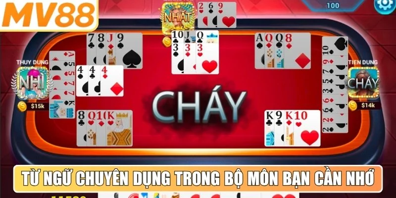 Một số từ ngữ chuyên dụng trong bộ môn mà bạn cần ghi nhớ