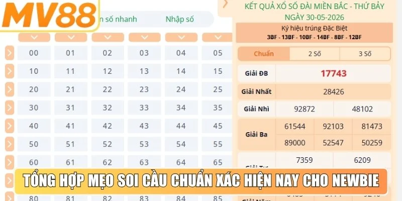 Tổng hợp mẹo soi cầu chuẩn xác hiện nay cho newbie